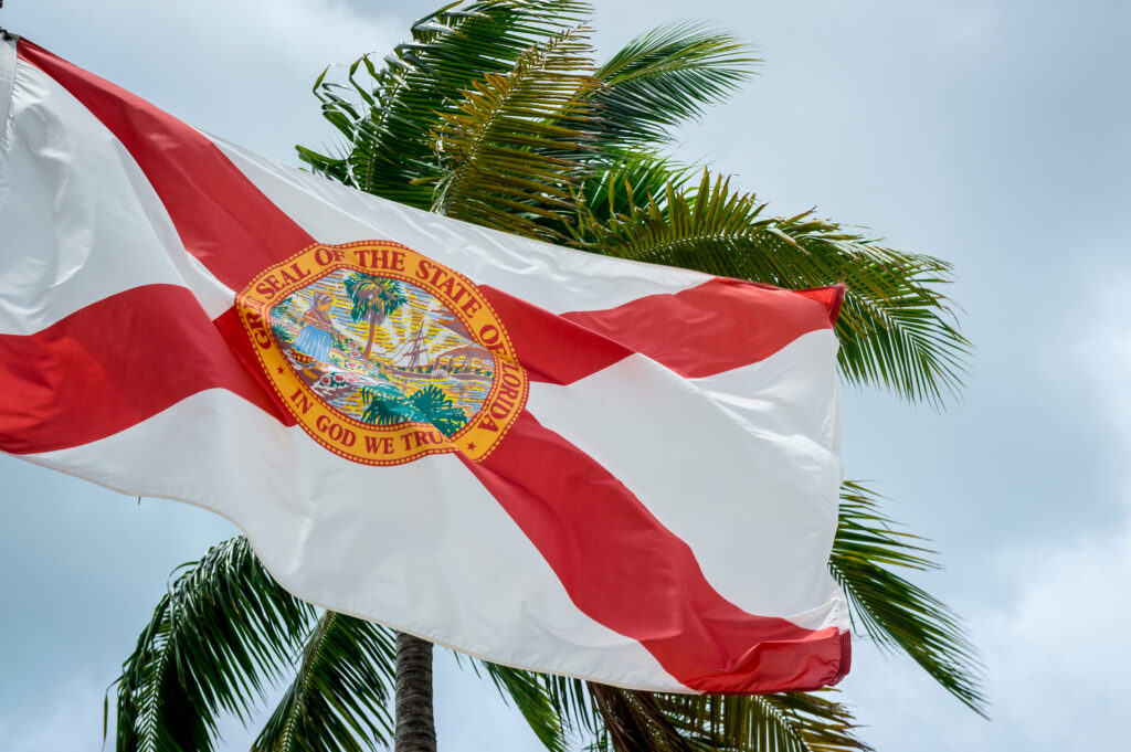 Florida business owner preparing to file their 2026 annual report online