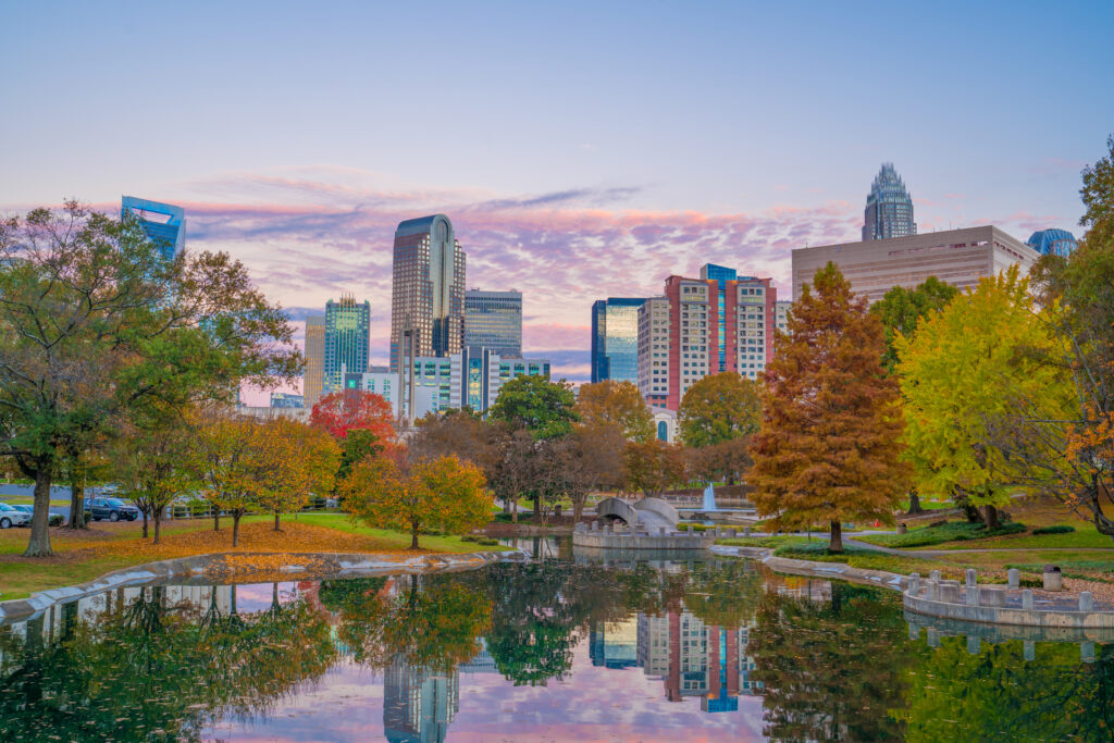 North Carolina business owner reviewing documents for 2026 Annual Report filing