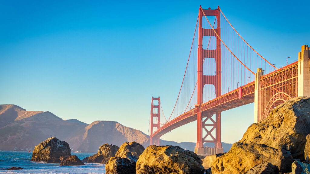 San Francisco CA business owner reviewing documents related to 2026 Annual Report late penalties